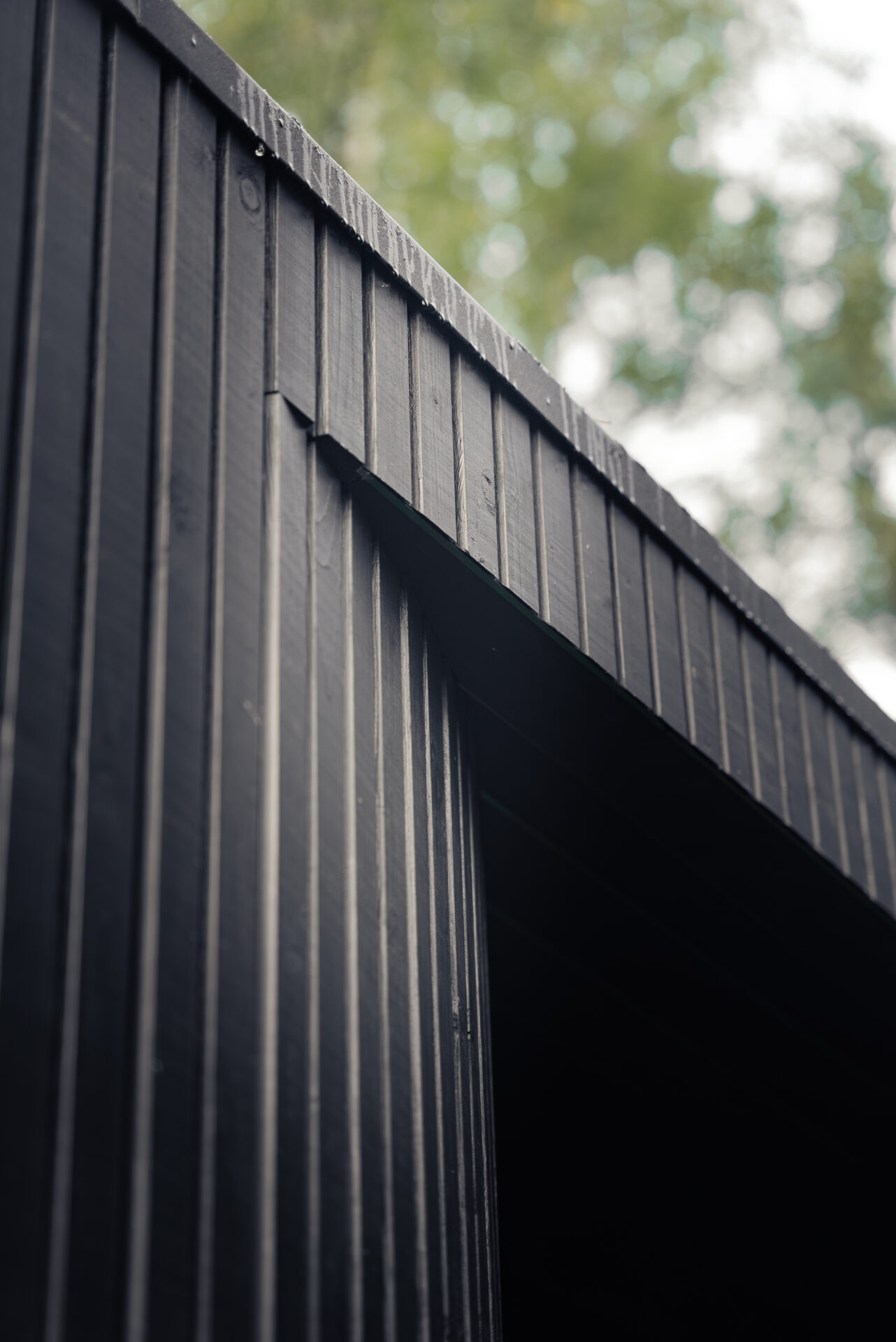 Tauras 2×1 by Celsium — a serene sauna and hot tub experience immersed in nature