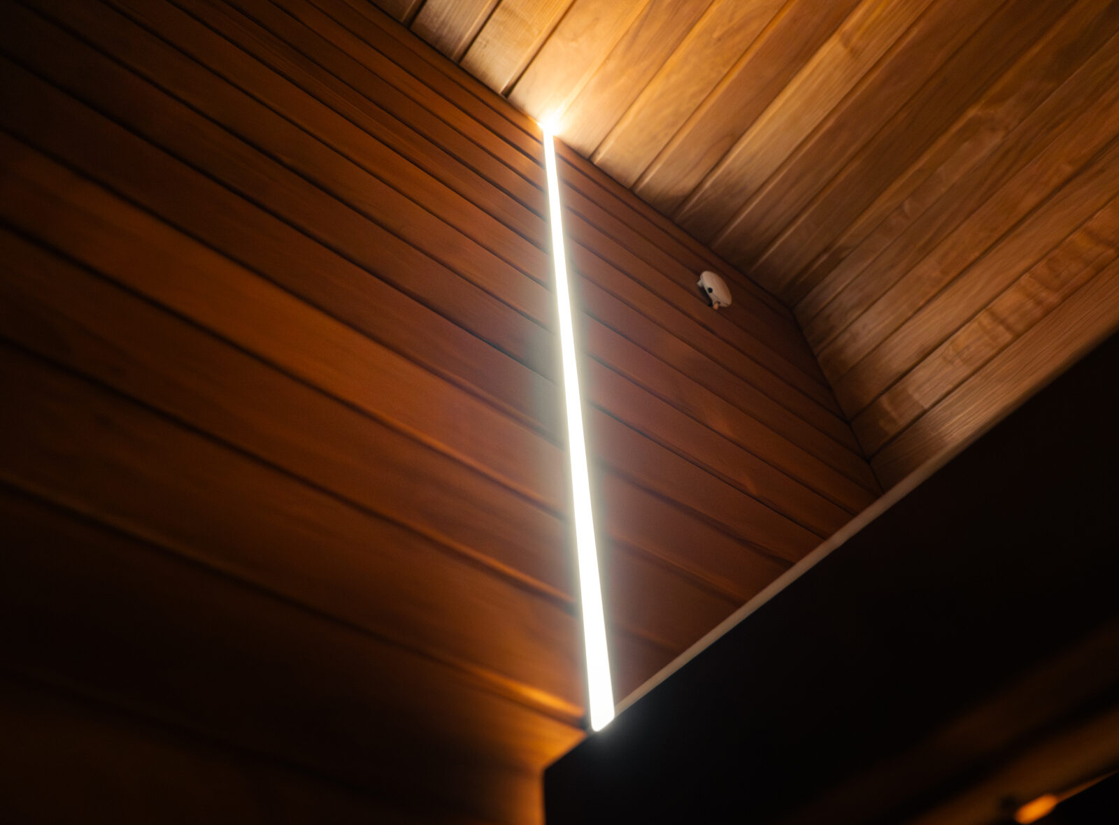Jonas Grand Thermo interior by Celsium