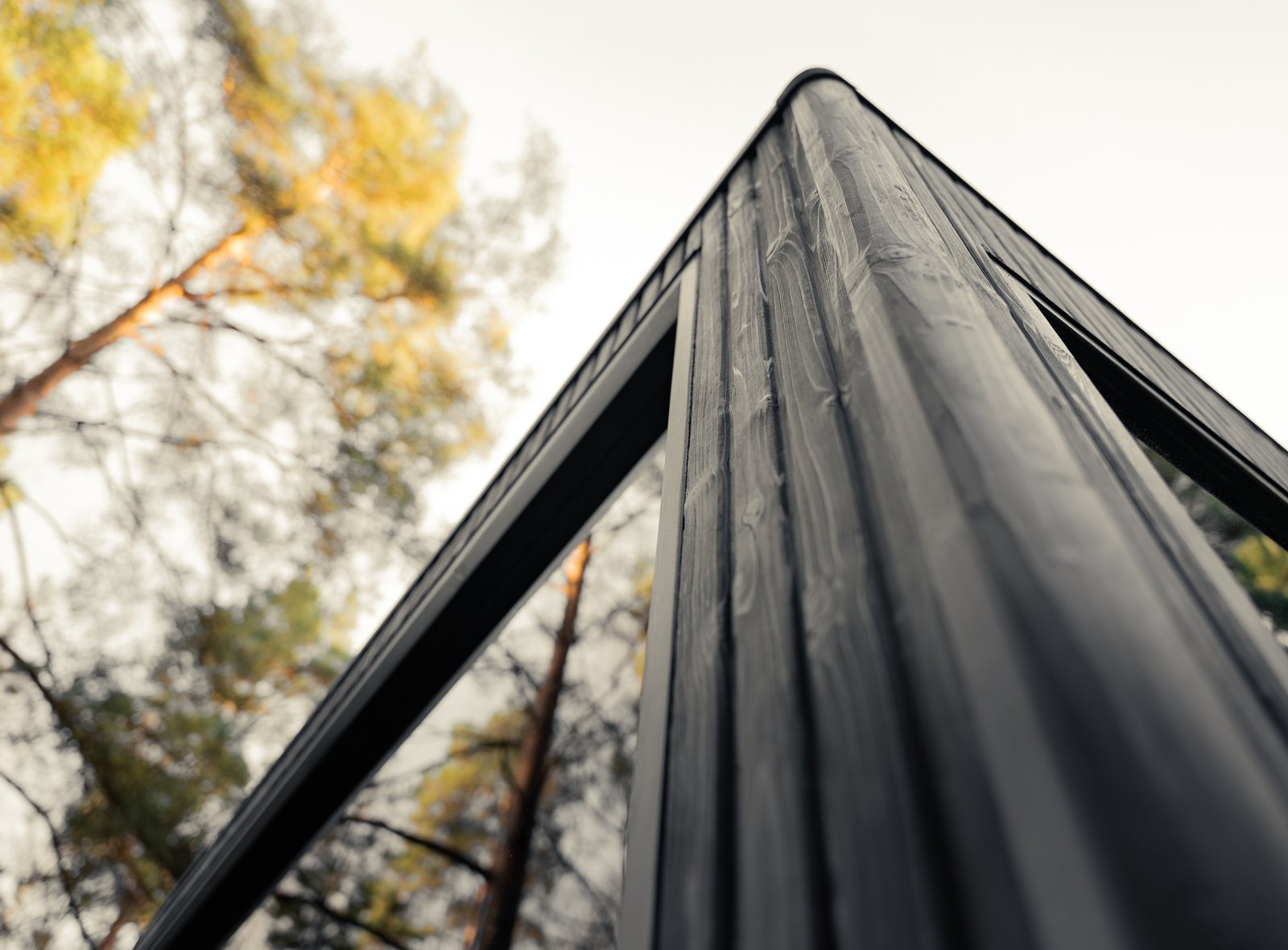 Jonas Mini lauko pirtis – Shou Sugi Ban kampinė detalė su stikliniu priekiu